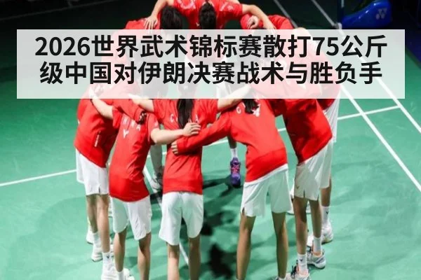 2026世界武术锦标赛散打75公斤级中国对伊朗决赛战术与胜负手
